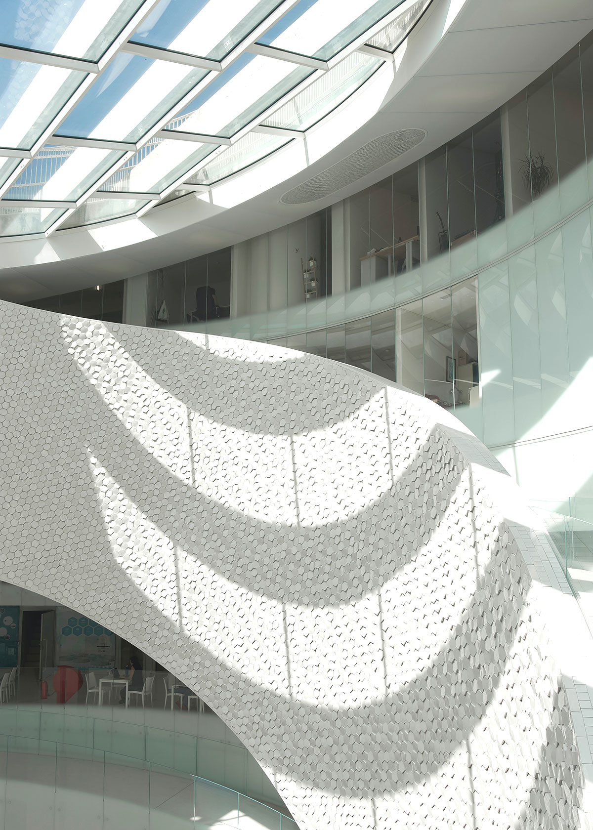 Community – CIIMAR – Interdisciplinary Centre of Marine and ...