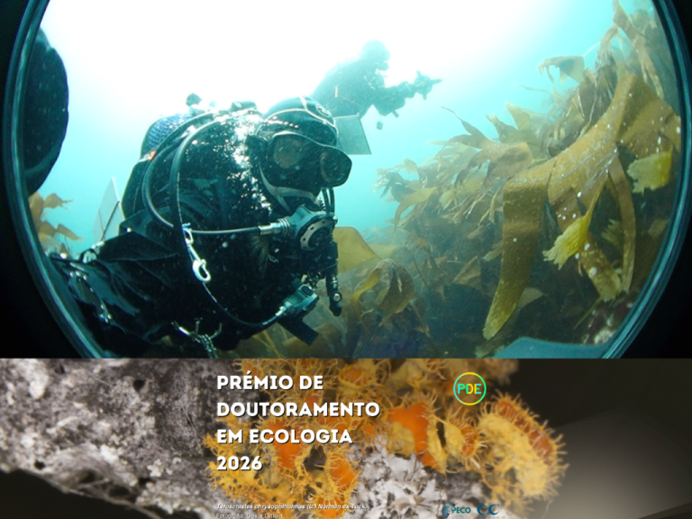 CIIMAR – Interdisciplinary Centre of Marine and Environmental Research ...
